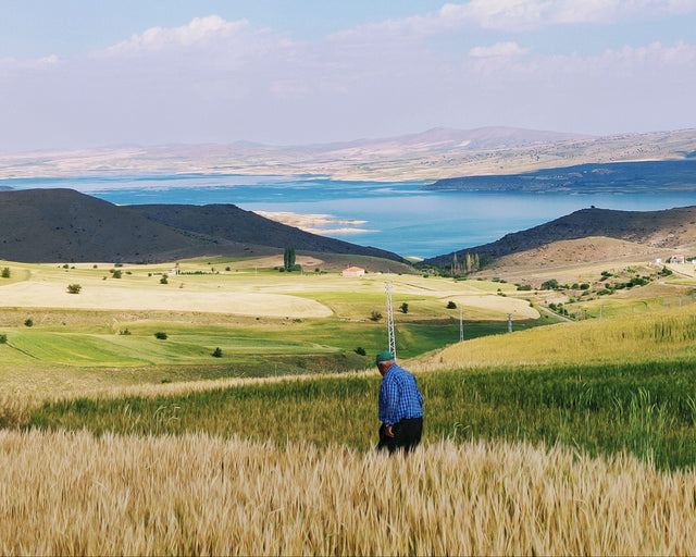 Gaziantep