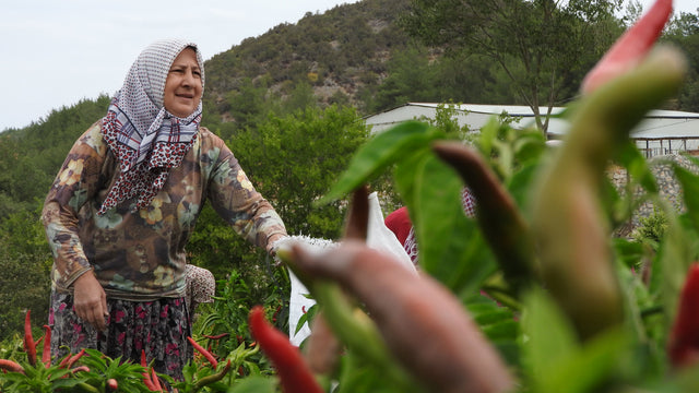 Kahramanmaraş