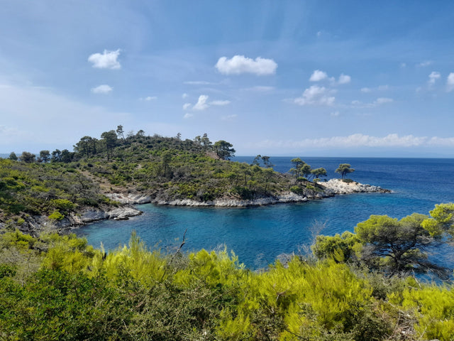 Aegean Coast