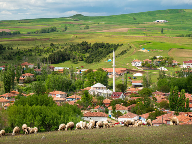 Denizli